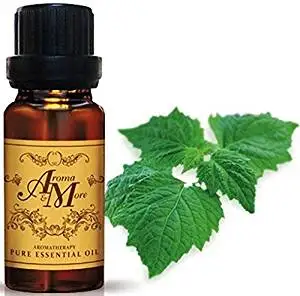 Patchouli "Vintage" Essential Oil 100% (India) (Pogostemom cablin) (Earthy Scent) 10 ml (1/3 Fl Oz)-Health