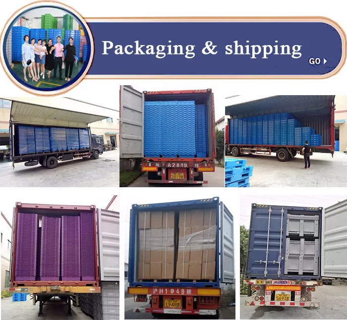 Qs Modern High Quality Manufacturer Professional Beer Crate Mould 24