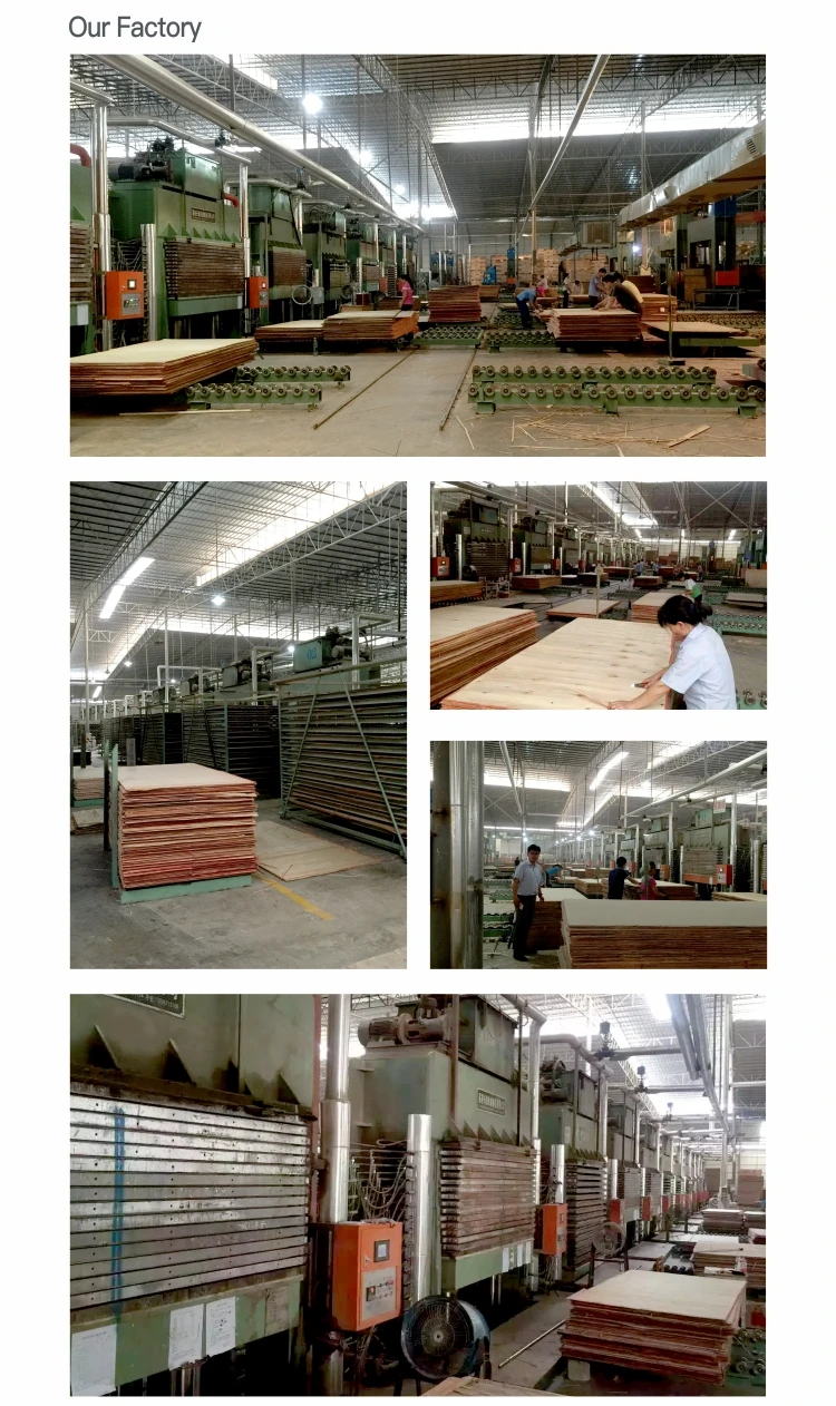 shuttering plywood price