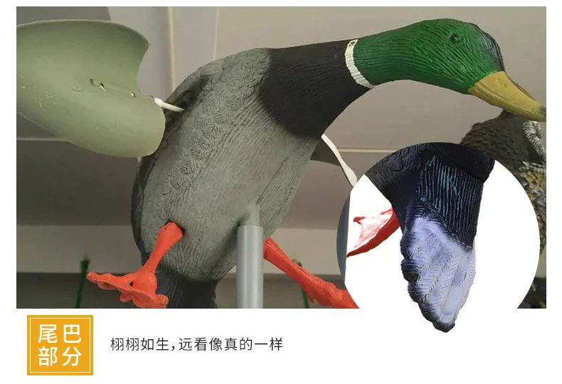  (2)