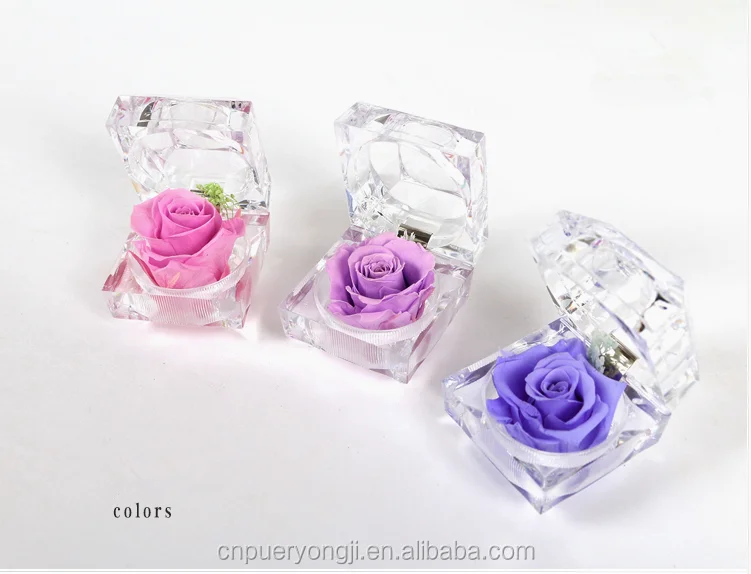 Natural Dried Flower White And Blue Fresh Forever Preserve Rose Dried Flower White And Blue Fresh