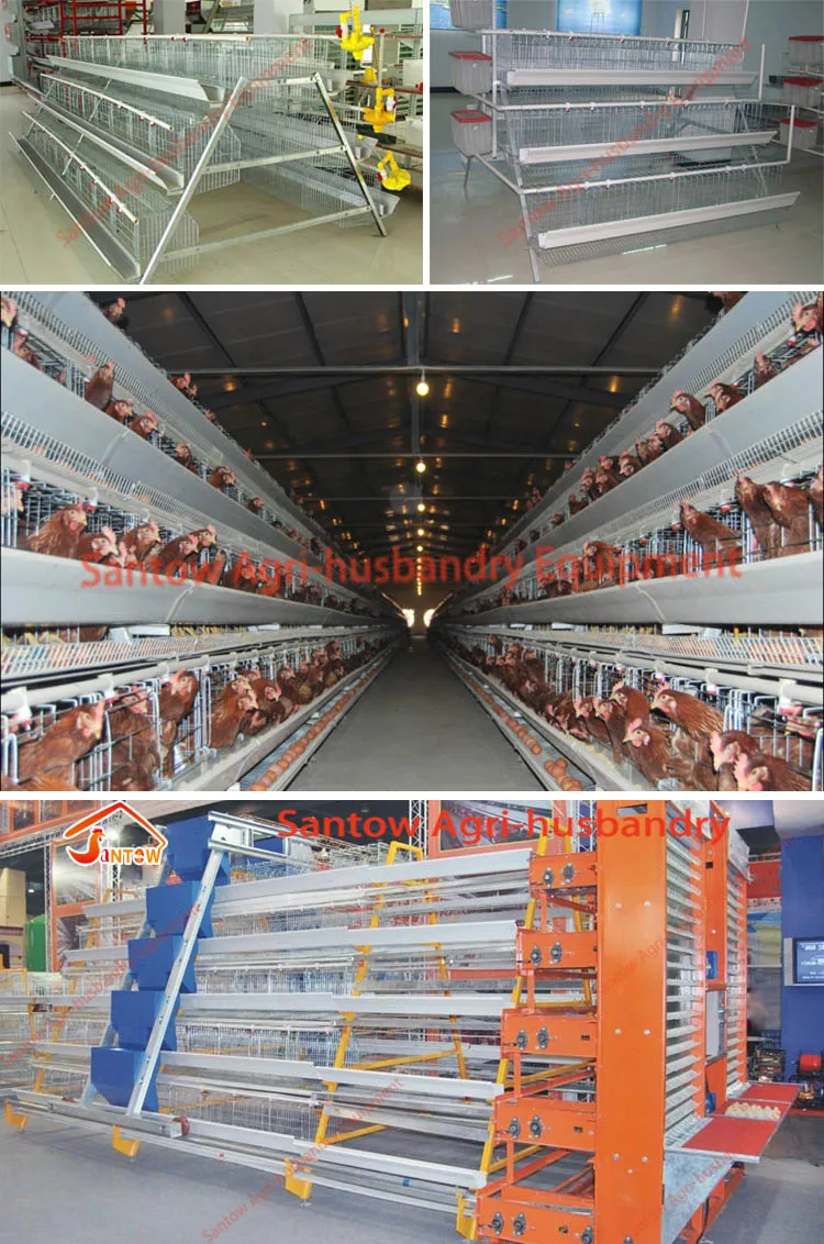Hot Supply Hens Laying Cage Wholesale Price Chicken Layer Cage Automatic Egg Collecting Machine For Poultry