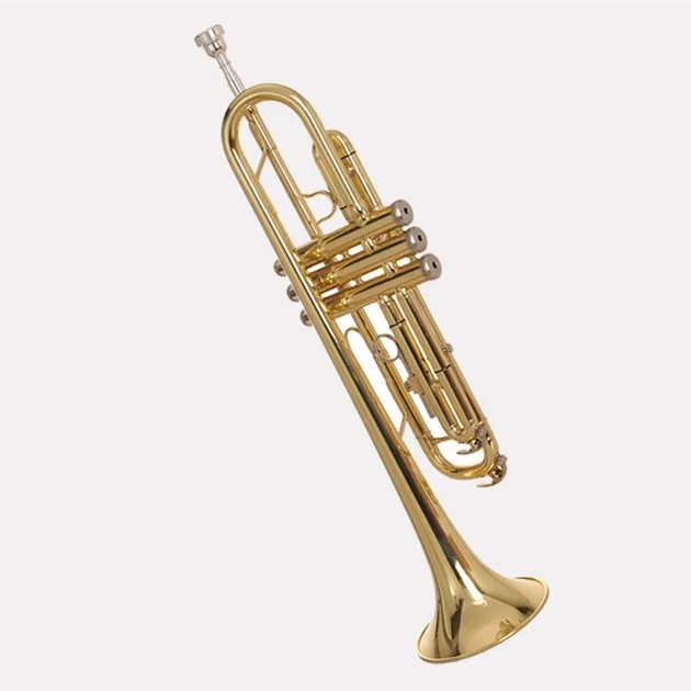 Brasswind Musical Instrument Bb Key Trumpet Student Level Trumpet For