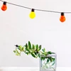 2019 Wedding Decorating LED Holiday Light Bulb String Festoon Ball Light String Outdoor lighting Garden Patio Bistro Bedroom