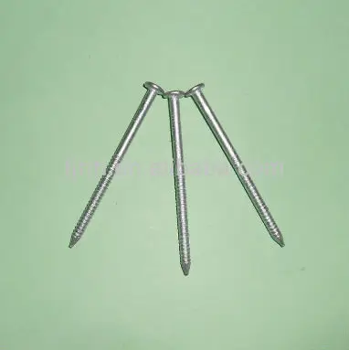 304 steelness nails.jpg