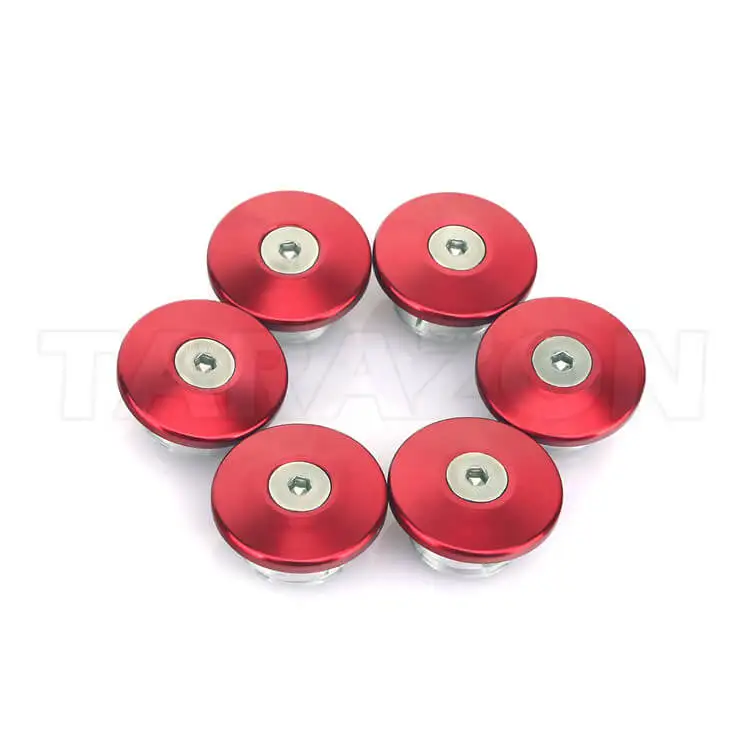 SOCO frame plug (3)