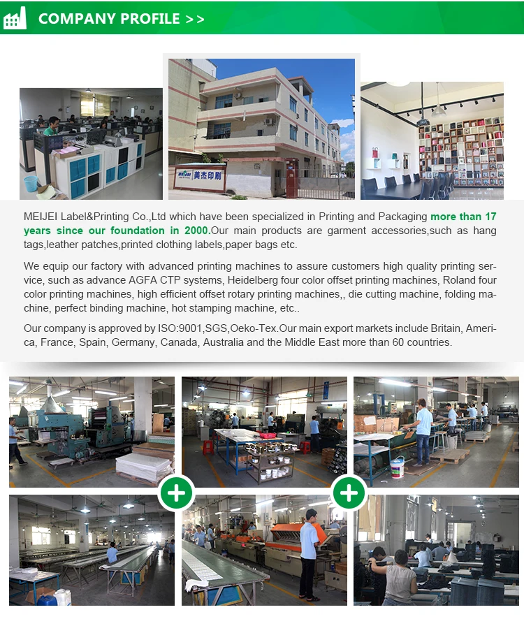 6company profile.jpg