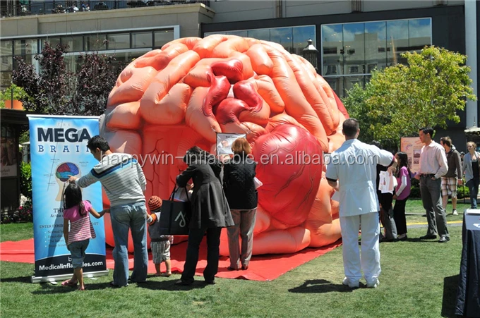 inflatable brain2.jpg