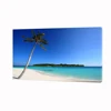 Stretched Canvas Printed Painting Tropical Palm Tree Decorative Canvas Artwork for Hotel