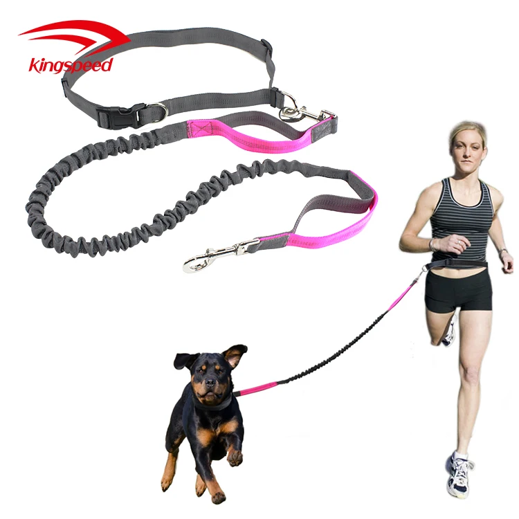 Handsfree Dog Leash Reflective Nylon Bungee Leash Dual Handle