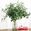 Handmade olive fruit olive branch leaf office home decoration living room decoration