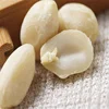 Junan factory processing peanuts prices raw blanched peanuts 1kg price