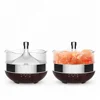 new Chicoyo Amazon Alexa Echo Voice and Smart phone Controlled App Salt Mist Oil Diffuser