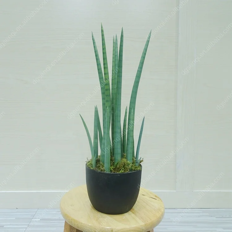 生态友好的 sansevieria 蛇树人造绿色植物室内装饰塑料植物