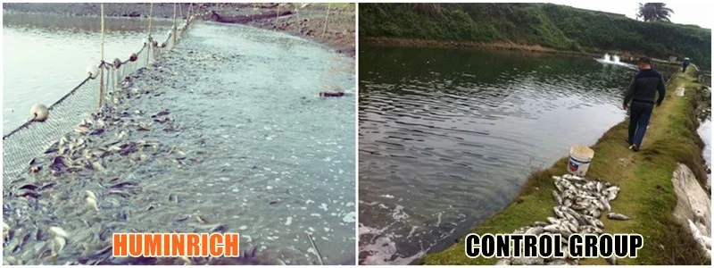 Fish Manure Fertilizer.jpg