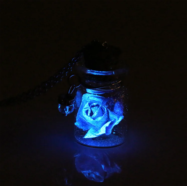Women Custom Glass Bottle Pendant Jewelry Fashion Real Rose Necklace