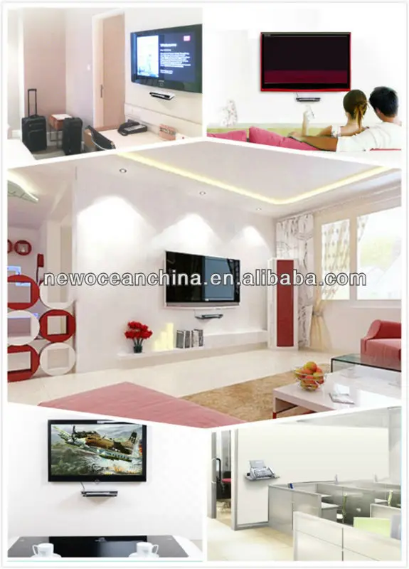 dvd mount exhibition