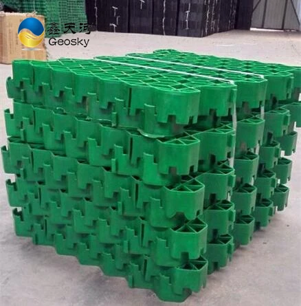 geosky grass paver12