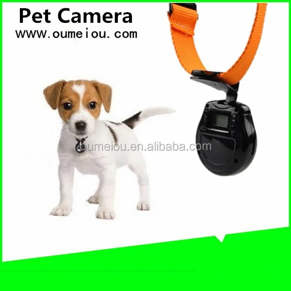 dog collar camera