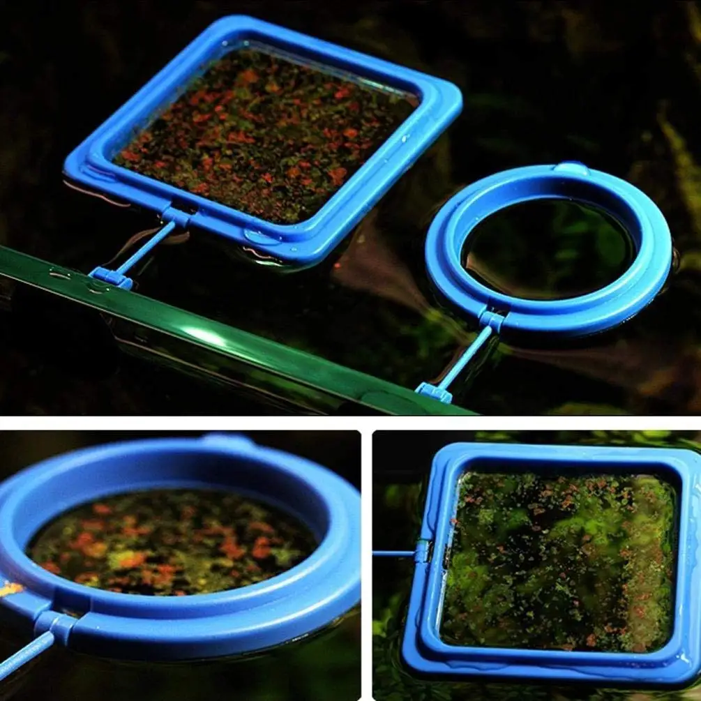 Cheap Floating Duck Feeder, find Floating Duck Feeder deals on line at