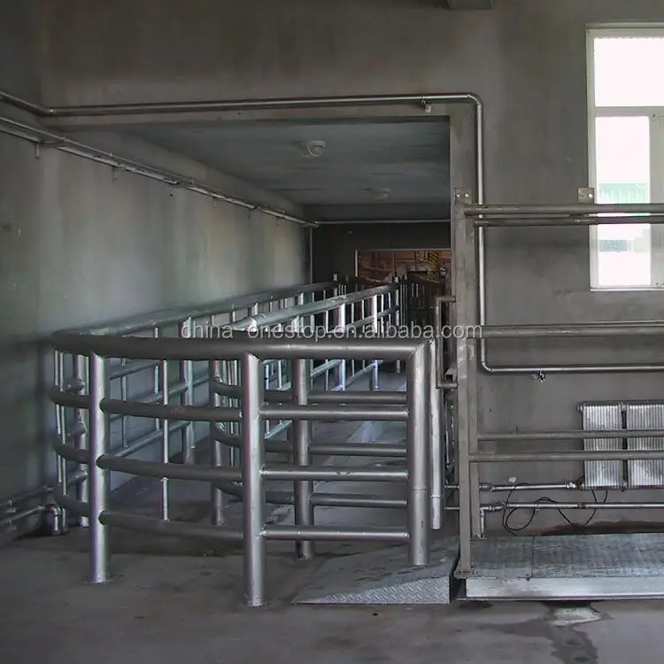 Cattle hot-dip galvanized pen slaughterhouse