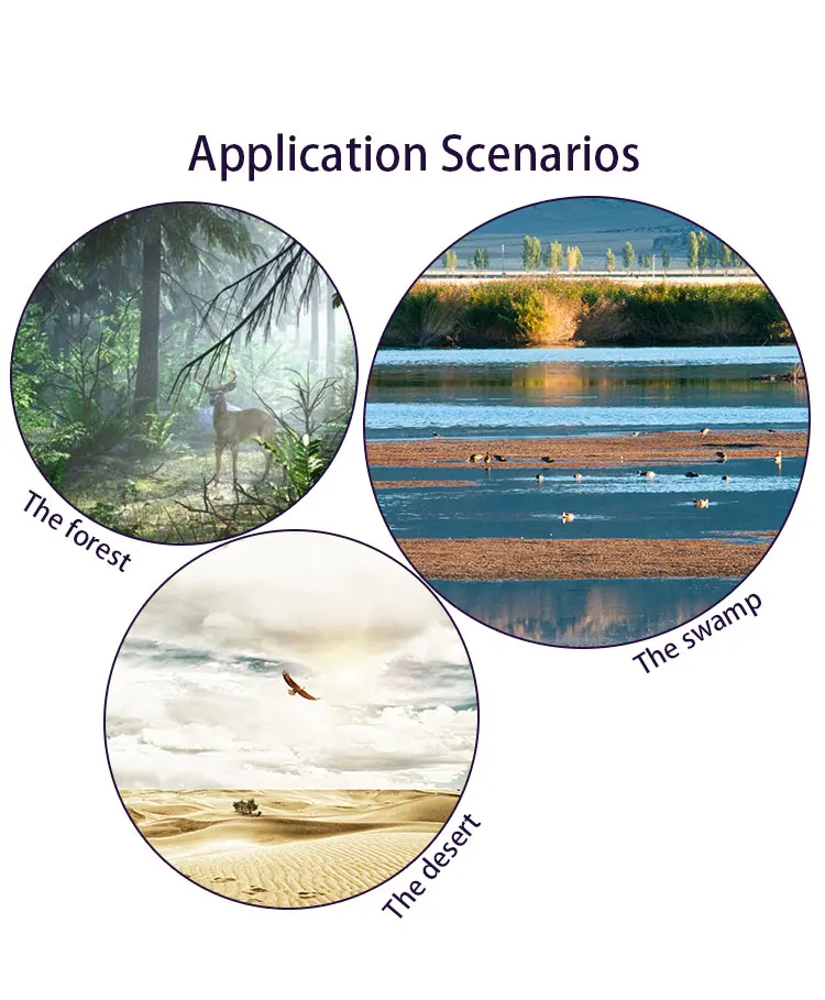 CSW-920 20190619 (7)