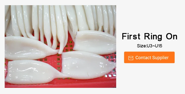 squid tube-2.jpg