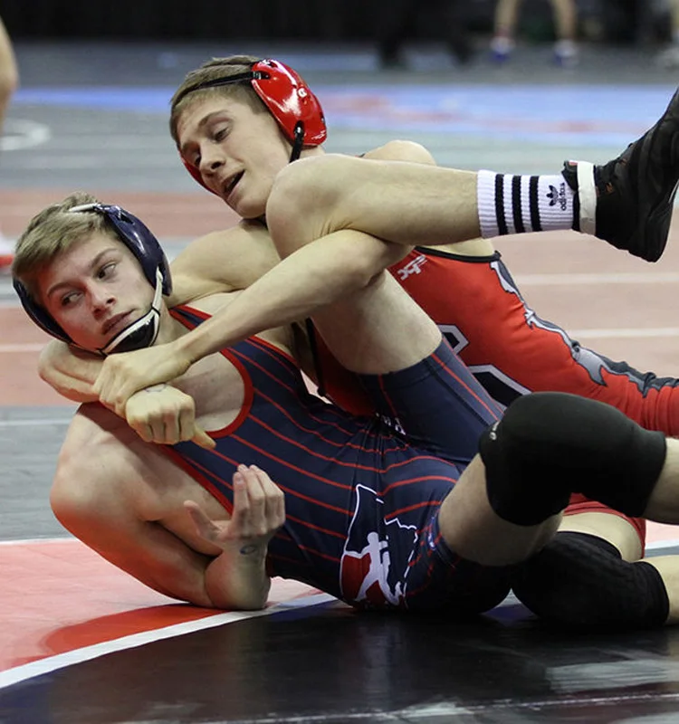 wrestling 4.jpg
