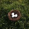 Assorted colors easter eggs for Easter