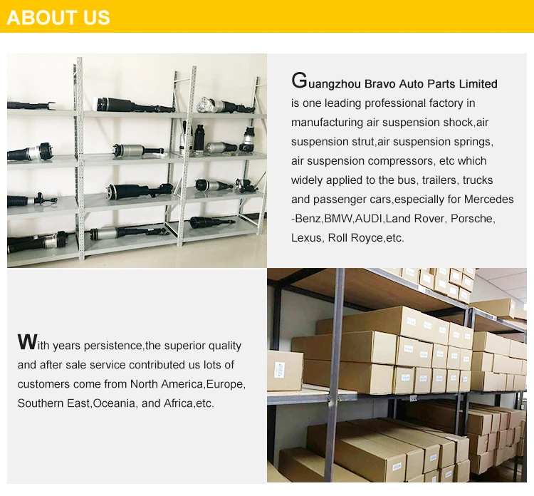 shock absorbers rear w220