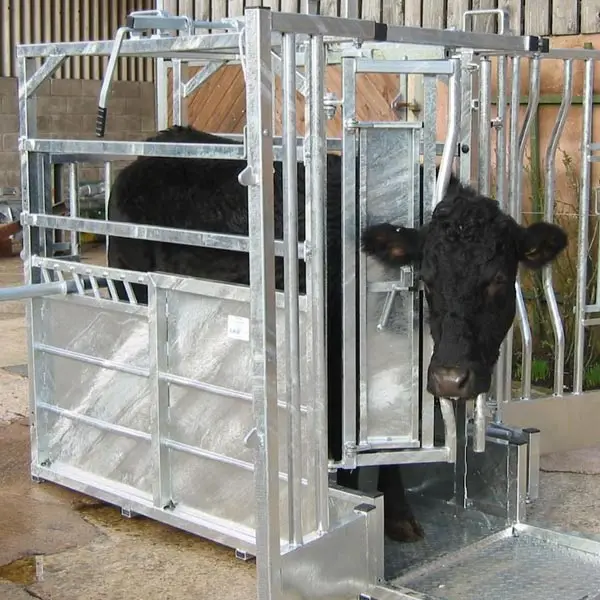 Cheap Heavy Duty Cattle Yard Panels With Cattle Crush - Buy Cheap ...