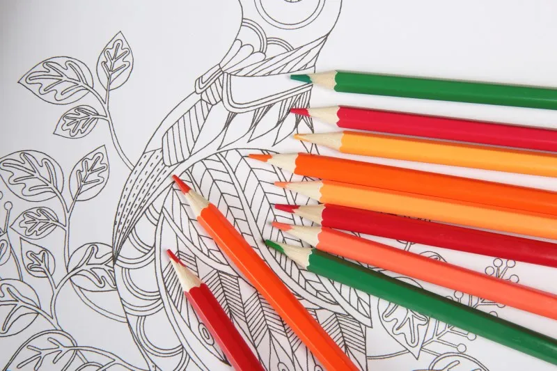 pencils in art set