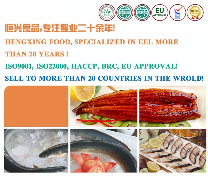 OEM -excellent quality Froze Roasted Eel from China
