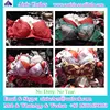 /product-detail/cheaper-bulk-wholesale-used-clothing-used-bra-for-sale-60350820726.html