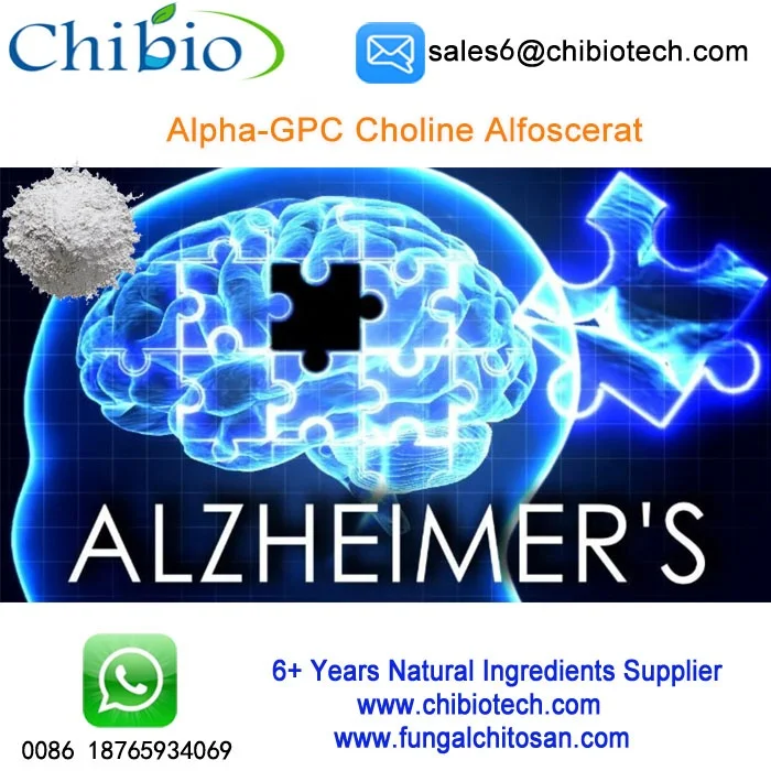 Alpha-GPC Choline Alfoscerate 038.jpg