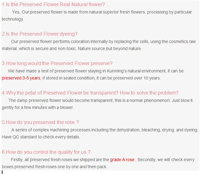 paste-pic-dp_uuid_2aymz