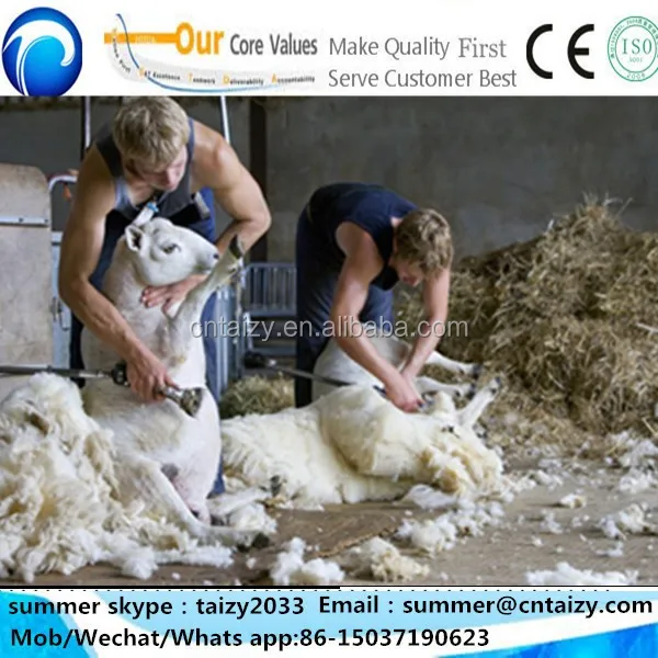 Professional Electric Sheep Shears/sheep Wool Shear Machine For