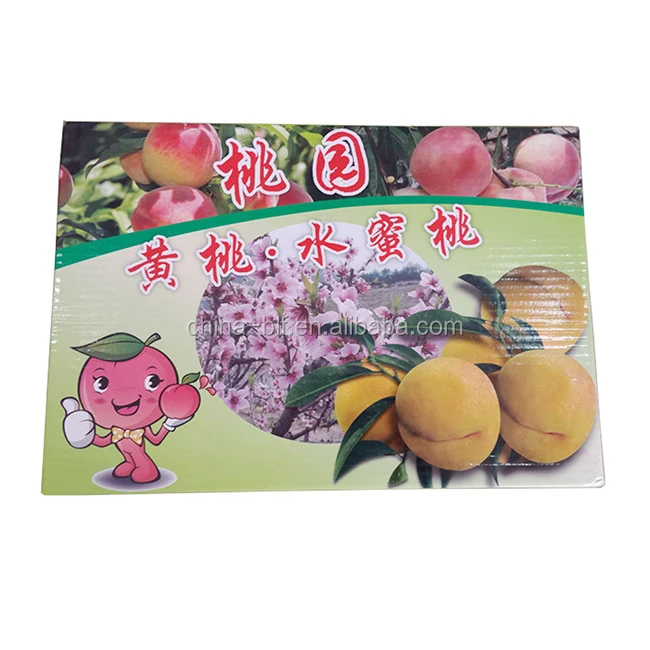 High Quality Fruit Carton Box Apple/cherry Fruit Carton Packaging Box
