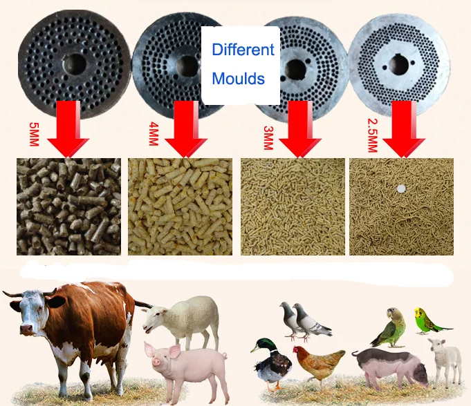 pellet machine (2).png