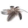 Geniea fowl chicken Feathers Pheasant Feathers black with white dots 1.5-3 inch for Jewelry Clothing Decoration Colorful