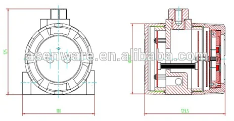 UV IR2 Flame Detector