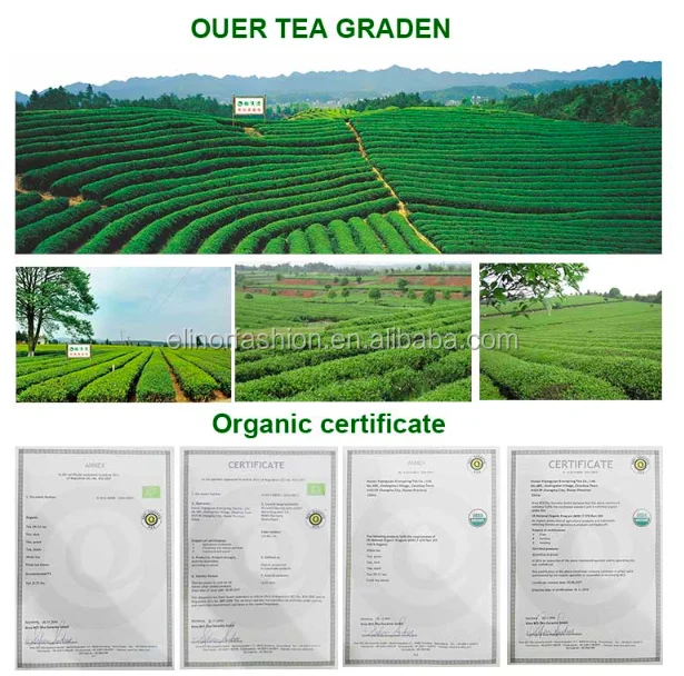 tea garden.png