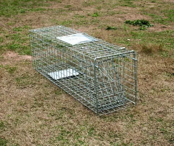 soft jaw rabbit traps for sale