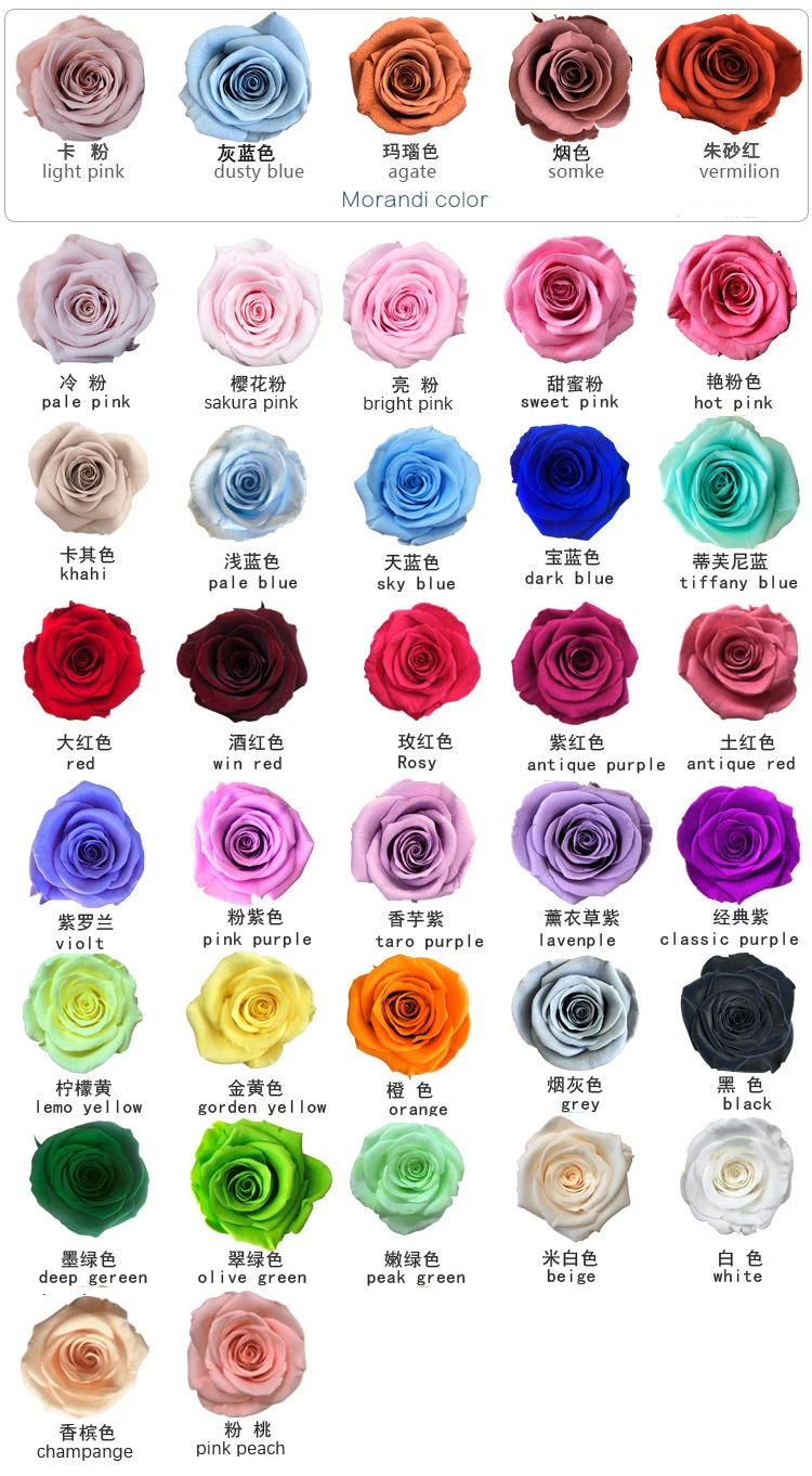 preserved rose flower