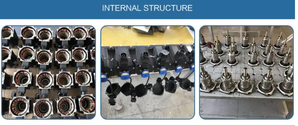 internal structure.JPG