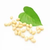 Omega 3 Fish Oil Softgel Capsules Ensure Optimum Brain Function