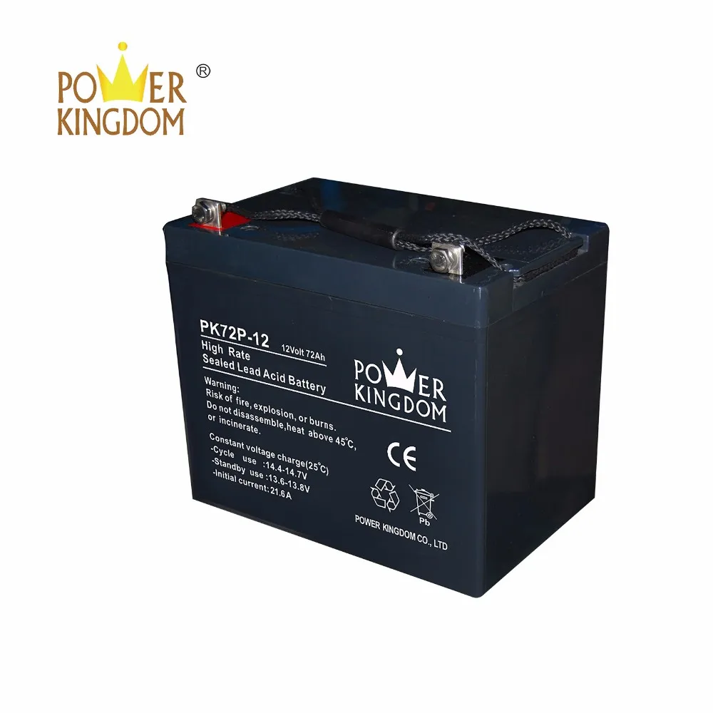 Power Kingdom Custom 12 volt gel cell battery charger manufacturers-2
