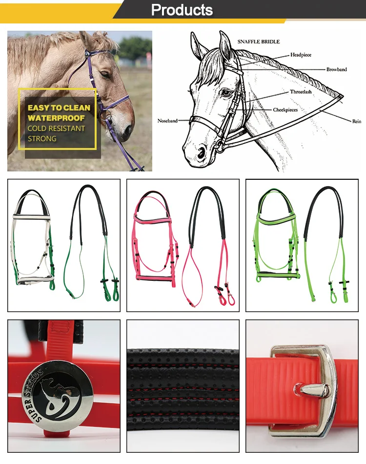 Running Martingale Horse Wear Equestrian Equipments Buy Running