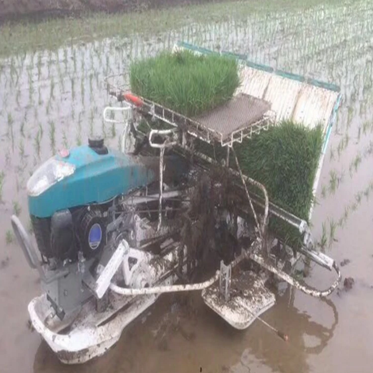 rice planter.jpg