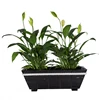 Outdoor-oriented Newest Factory Direct Price Diy rectangle flower pots